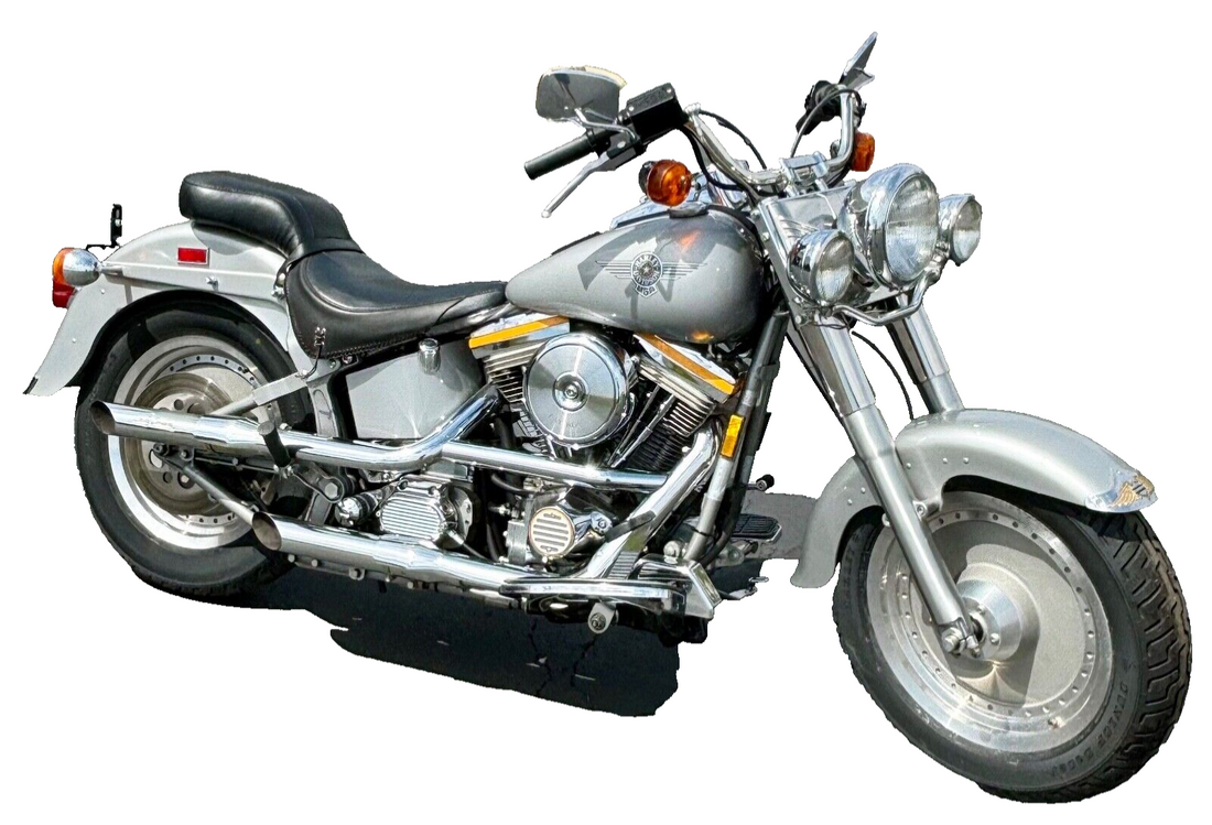 
  
  1990 Harley-Davidson Softail
  
