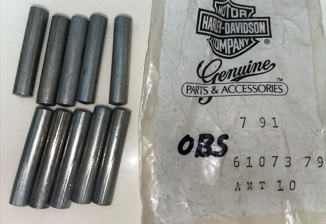 
  
  61073-79 HARLEY-DAVIDSON 10 PACK FLT FUEL TANK DOOR HINGE PINS NOS OEM
  
