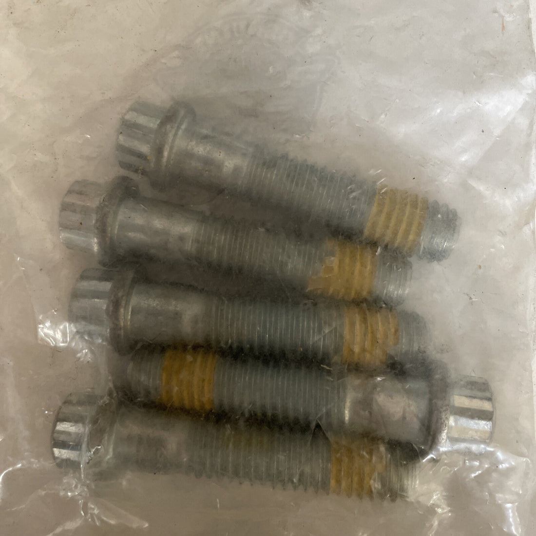 
  
  40439-01 HARLEY-DAVIDSON 5 PACK SCREW 12 POINT FLANGE NOS OEM
  
