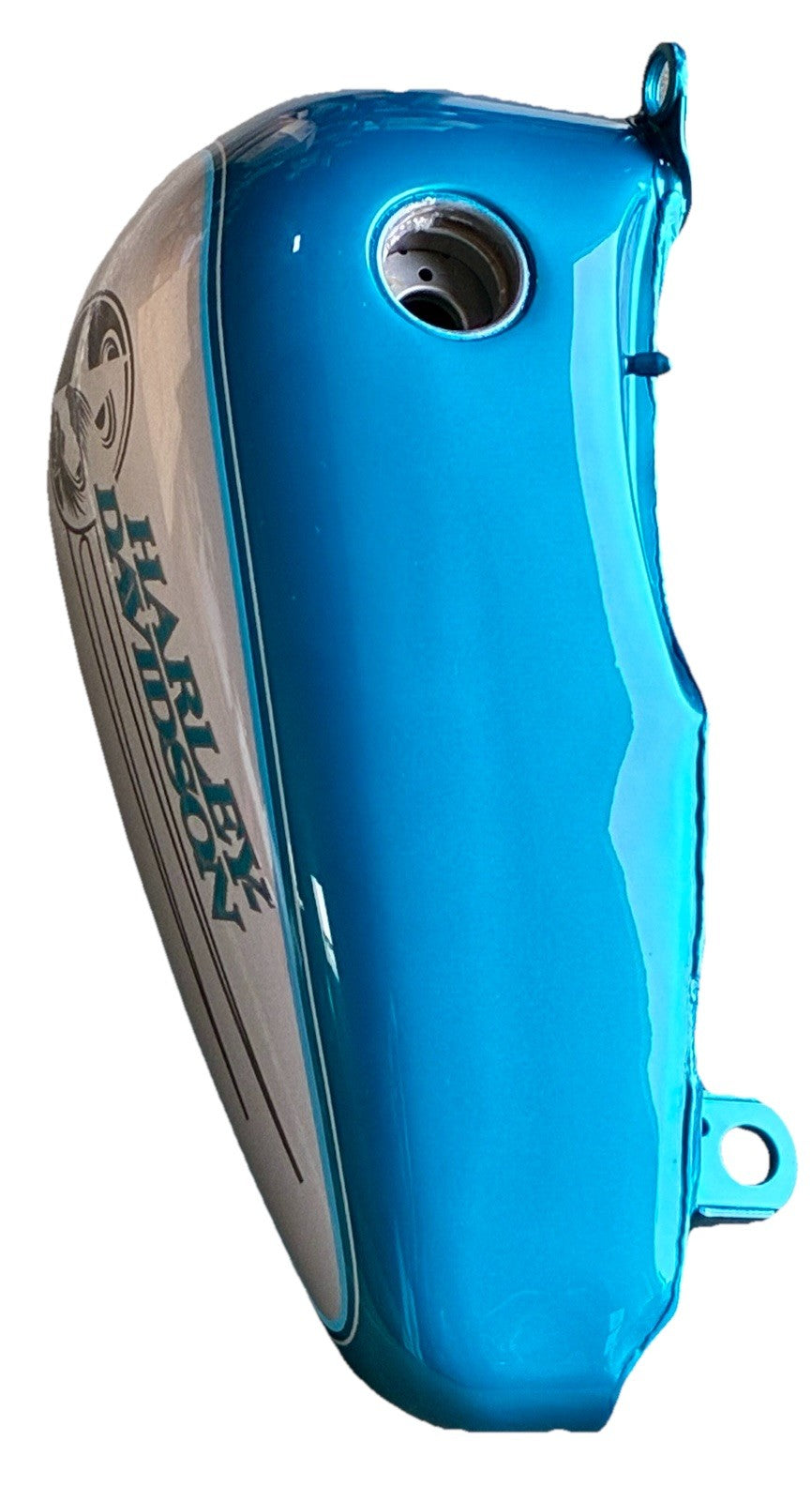 
  
  61618-95ME HARLEY-DAVIDSON SOFTAIL AQUA TEAL SILVER LEFT SIDE GAS TANK OEM
  
