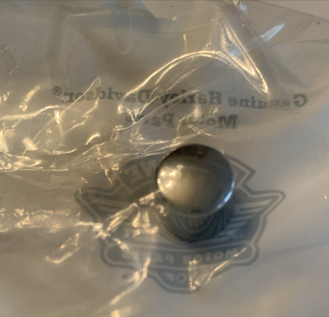 
  
  94904-07 HARLEY-DAVIDSON     CHROME BOLT TRIM COVER    OEM NOS
  
